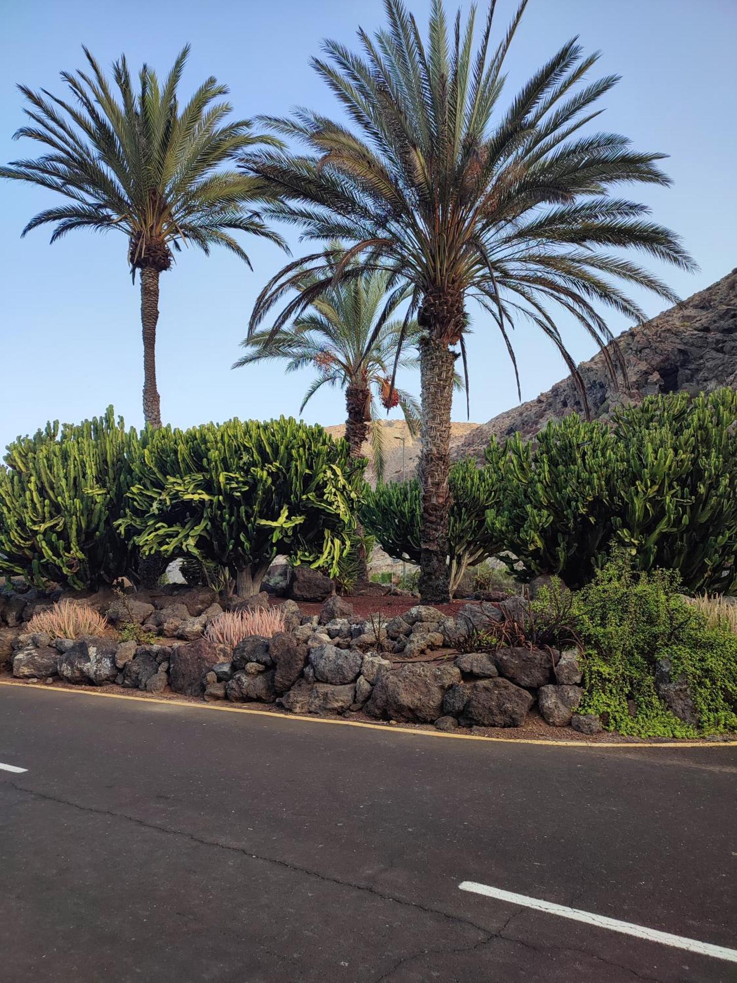 Margherita House Tenerife, Wonderful Ocean View Palm-mar Exterior foto